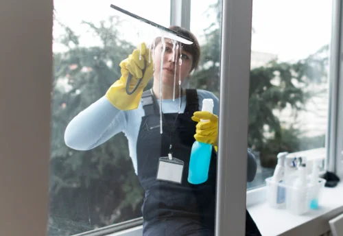 Nettoyage de vitres intérieures et extérieures à Laissey